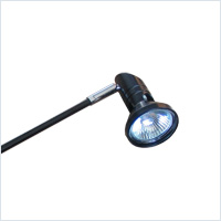 Spotlight 11